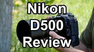 Nikon D500 Review, A Wildlife Photographer's Perspective