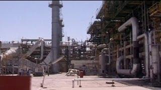 EU sanctions hit Iran petrochemical exports