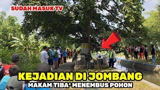 kejadian di jombang jawa timur‼️makam orang sakti tiba² menembus pohon SUDAH MASUK TV