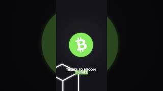 How BCH Transactions Are Processed?- Episode 6 #cryptocurrency #bitcoincash #crypto #bitcoin