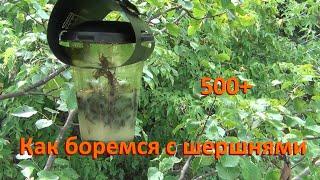 500+ Шершни. Их гнёзда. И ловушки.