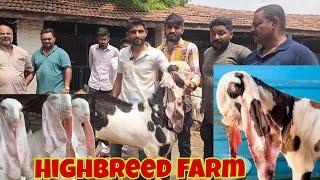 Mashallah Highbreed Farm Limbdi Gujarat | Gulabi Hyderabadi Hydpat Setup | Incredible Gujarat Model