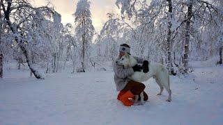 normal days in Northern Sweden