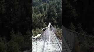 Himalayan Bridge || Everest trekking