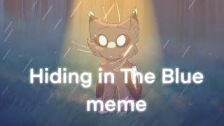Hiding in The Blue * Animation Meme * Procreate & CuteCut