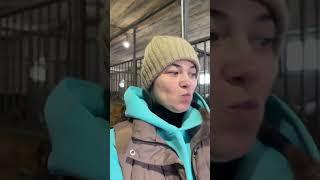 Какой сервис  даже коня для меня разогрели)) #верховаяезда #horse #лошадки #лошади #лошадь