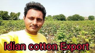 Indian Cotton Export l NIHAR EXIM I globalexportimportfromindia