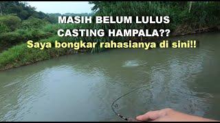 MASIH BELUM LULUS CASTING HAMPALA, COBA IKUTI CARA AMPUH INI! BONGKAR RAHASIA CASTING HAMPALA!!