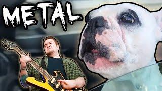 DOG meets METAL - Walter Geoffrey The Frenchie