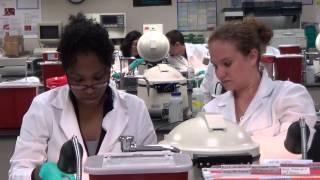 UCF Medical Lab Sciences Program