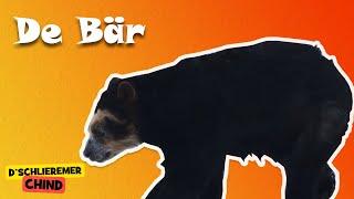 Schlieremer Chind - De Bär | Mir gönd in Zoo