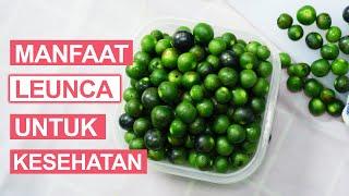 Inilah 9 Manfaat Leunca untuk Kesehatan