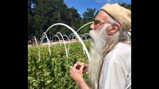 Swami Chaitanya: Terroir, Appellation & Cannabis Cultivars / Derek Gilman / Ganjier