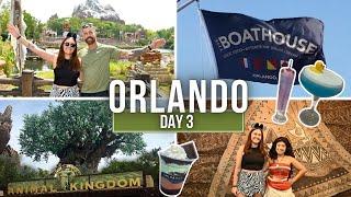 Walt Disney World Day 3 | Animal Kingdom, Rainforest Cafe, Disney Springs & The Boathouse