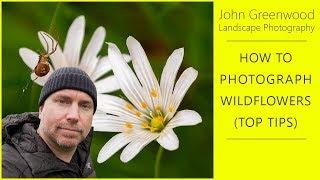 How to photograph Wildflowers (Top Tips) | Flower Photography