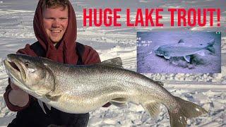 6 MASSIVE LAKE TROUT!!! - Ice Fishing Clearwater Lake