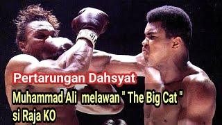 Pertarungan Dahsyat Muhammad Ali melawan The Big Cat si Raja Ko