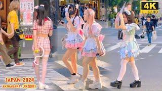 4k hdr japan travel 2024 | Walk in Akihabara（秋葉原）Tokyo Japan |  Relaxing Natural City ambience