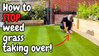 How to stop WEED GRASS taking over your LAWN