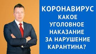 Коронавирус - Какое уголовное наказание за нарушение карантина - Адвокат в Москве