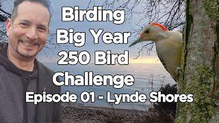 Birding Big Year 250 Bird Challenge Ep01 Lynde Shores Jan 1st