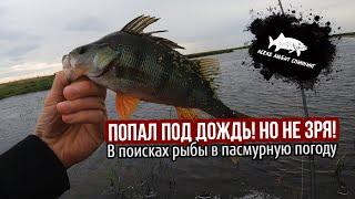 Рыбалка под дождем #астана #2024 #fishing