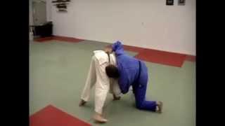 Judo & jiu-jitsu Take down by David Loshelder