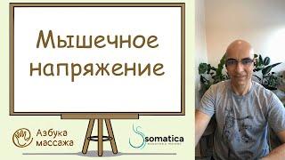 Мышечное напряжение | Константин Берман | Азбука массажа