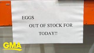 Egg prices skyrocket to record levels