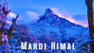 Trekking to Mardi Himal in Nepal | Travel Video | Winter Wonderland of Nepal