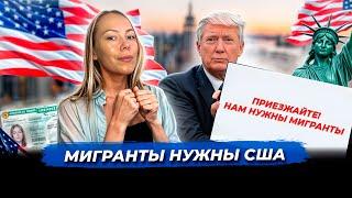 Бизнес в США не справляется без мигрантов | Новые реалии