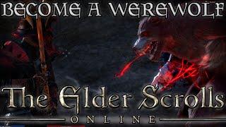 HOW to Become a WEREWOLF in ESO! (Elder Scrolls Online Quick Tips for PC, PS4, and XB1)