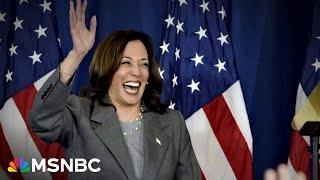 'It's almost like a resurrection': Harris campaign injects new life into Democrats