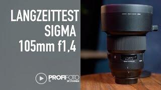 Wieviel Brennweite & Lichtstärke benötige ich wirklich? Sigma 105mm f1,4 im Test