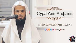 Абу Бакр Аш Шатри Сура Аль Анфаль  # 8  Abu Baker Al-Shatiri – Al-Anfal