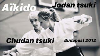 Aikido - Chudan tsuki /Jodan tsuk by Bruno Gonzalez