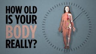 Your Body's Real Age | NPR's SKUNK BEAR