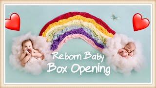 Russian Reborn Baby Doll BOX OPENING by a MASTER PROTOTYPE ARTIST Darya Medyulyanova