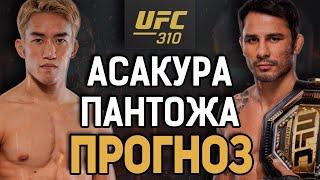 ДЕБЮТАНТ - УДИВИТ?! Кай Асакура vs Алешандре Пантожа / Прогноз к UFC 310