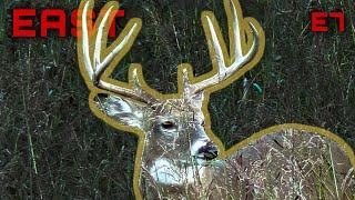 Eye’s On A Stud Maryland Whitetail, Pre-Rut Activity In Pennsylvania