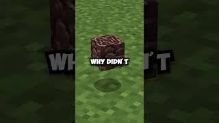 Mojang Forgot About Ancient Debris