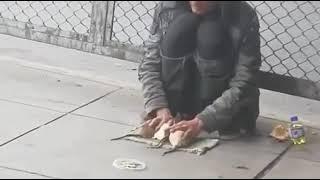 homeless man rat tricks