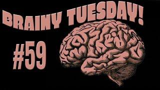 BRAINY TUESDAY #59 - 21 Question TOUGH Trivia Quiz / Various Categories ( ROAD TRIpVIA Episode 910 )