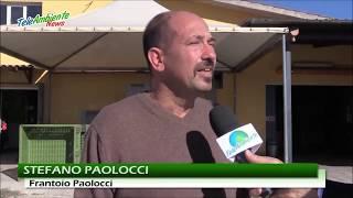 INTERVISTA DI TELEAMBIENTE A STEFANO PAOLOCCI