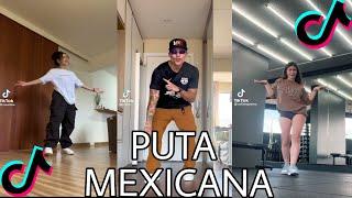 PUTA MEXICANA TIKTOK DANCE CHALLENGE