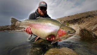 Sight Fishing Worlds FATTEST Rainbow Trout