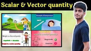 Scalar & vector quantity // with examples// hindi & english
