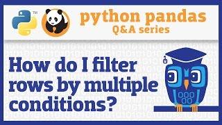 How do I apply multiple filter criteria to a pandas DataFrame?