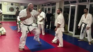 Sensei Levan Rogava Demonstrates Goju Ryu Striking Techniques