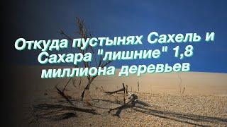 Откуда пустынях Сахель и Сахара "лишние" 1,8 миллиона деревьев